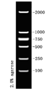 5f508162a676a.png image.png