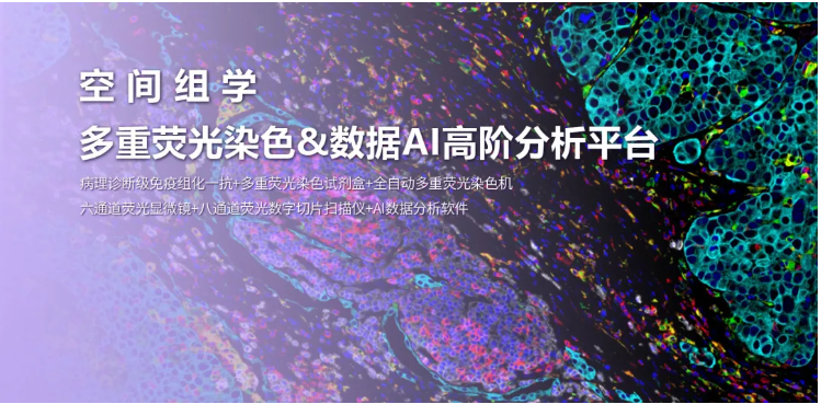 6a438c333cd26.png image.png
