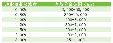 6a4c515f19485.png image.png