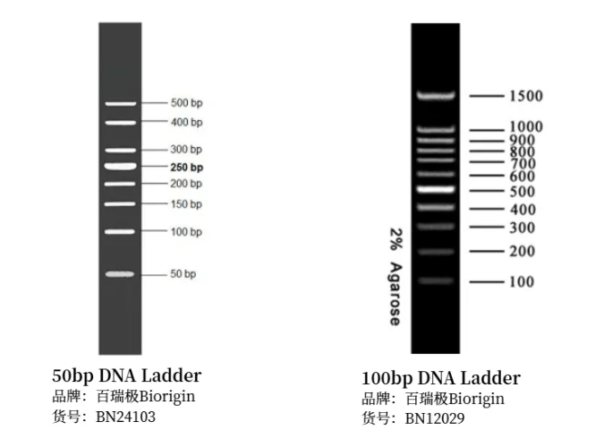 6a4c51bfd0874.png image.png