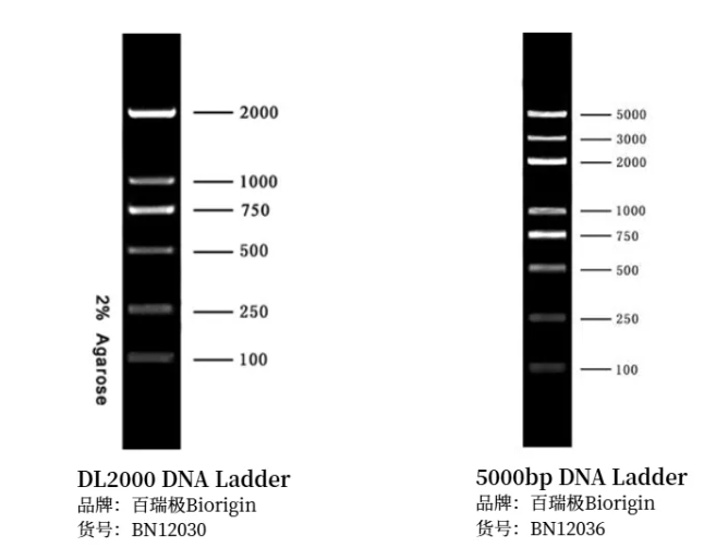 6a4c51dbe623a.png image.png