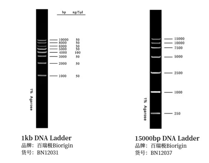 6a4c51f2bd532.png image.png